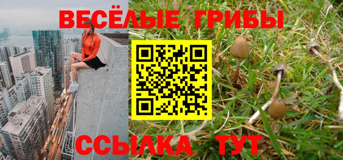 Златоуст  Галлюциногенные грибы мицелий  как найти   Вход с VPN 